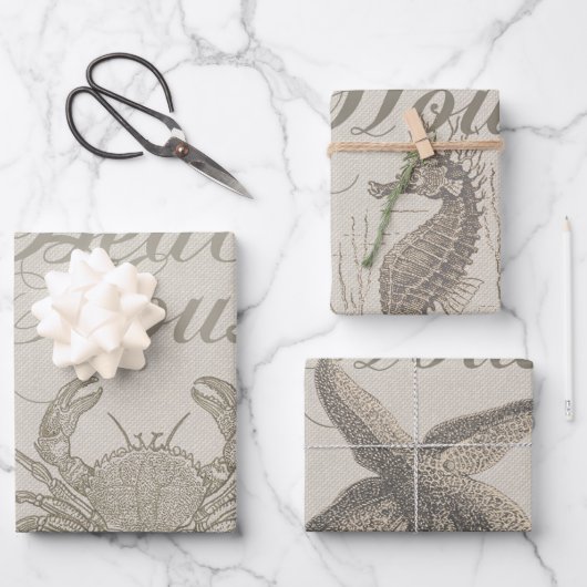 Beach House Crab Seashore Coastal Inpakpapier Vel (Voorkant)