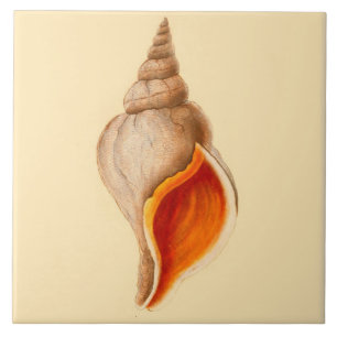 Beach House Theme Ceramic Wall Tiles Conch Shell Tegeltje