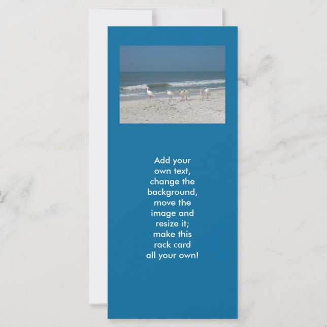 Beach Ibis (Voorkant)
