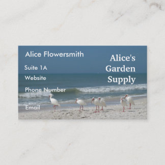 Beach Ibis-Visitekaartje Visitekaartje