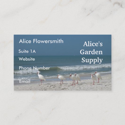 Beach Ibis-Visitekaartje Visitekaartje (Voorkant)