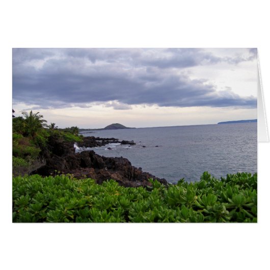 Beach kustlijn (Voorkant Horizontaal)