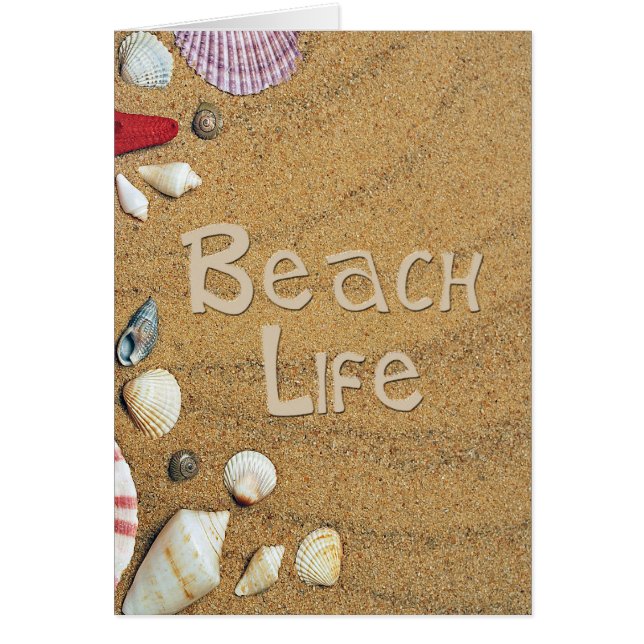 Beach Life (Devant)