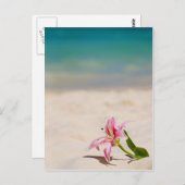 Beach Lily Briefkaart (Voorkant / Achterkant)