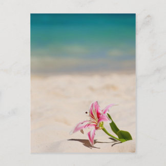 Beach Lily Briefkaart