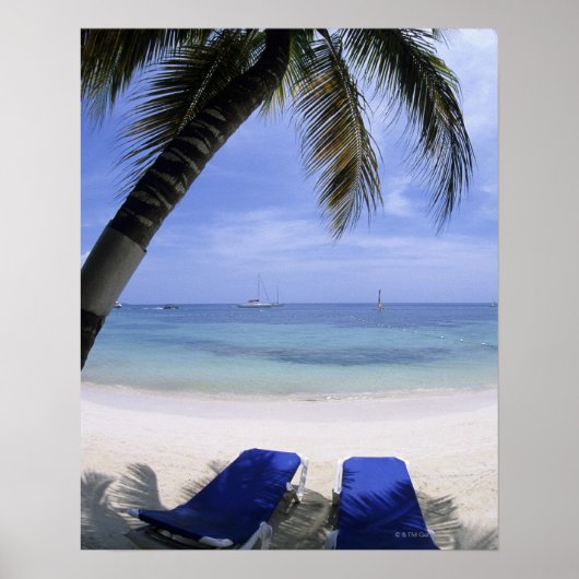 Beach, Lounge-voorzitter, palmboom, Horizon over Poster (Voorkant)