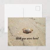 Beach met Crab Briefkaart (Voorkant / Achterkant)
