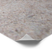 Beach Morning Glory (Ipomoea Stolonifera) Poster (Hoek)