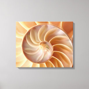 Beach Nautilus Shell Art Canvas Print