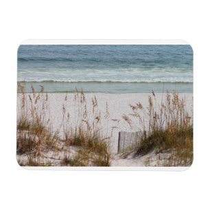 Beach, Ocean, Grass Magneet