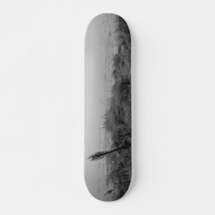 Beach pad skateboard