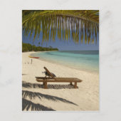 Beach, palmbomen en lounger briefkaart (Voorkant)