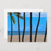 Beach Palms - Hawaii - Briefkaart (Voorkant / Achterkant)