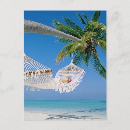 Beach Paradise Vacation Hammock Briefkaart (Voorkant)