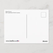 'Beach Parrots' Schilderij op een Briefkaart (Achterkant)