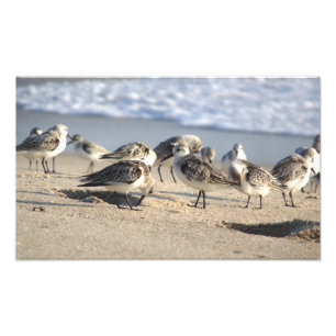 Beach Party. Sebastian Inlet. Foto Afdruk