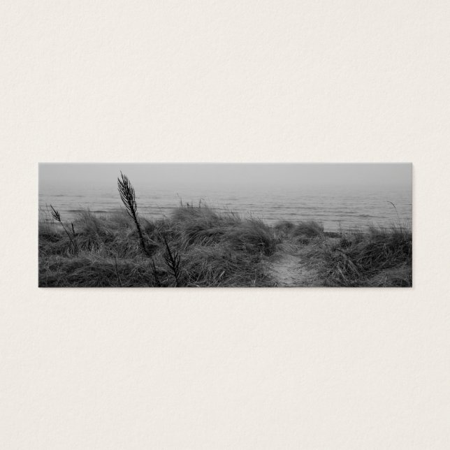 Beach path (Devant)