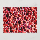 BEACH PEBBLES BRIEFKAART (Voorkant)