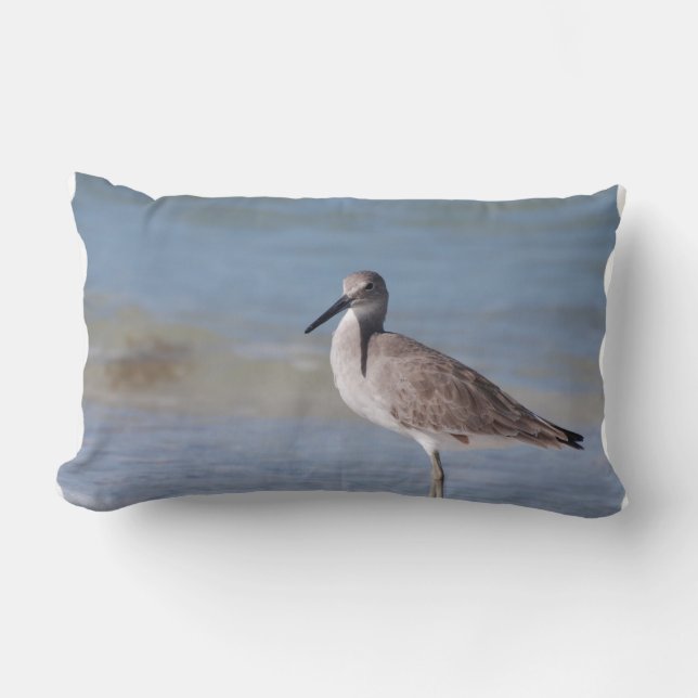 Beach Plover Kussen (Voorkant)