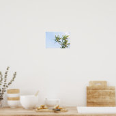 Beach poster (Keuken)