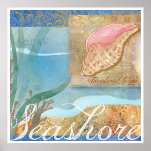 Beach Poster IV, "Seashore with Tulip Shell"