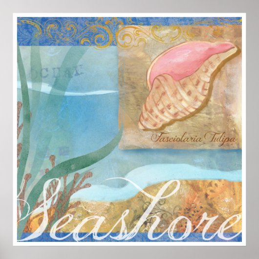 Beach Poster IV, "Seashore with Tulip Shell" (Voorkant)