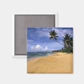 Beach Puerto Rico 2 Magneet (Voorkant / Achterkant)