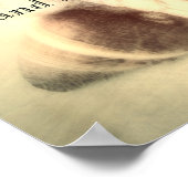 beach quote poster with sea shells photo art (Coin)