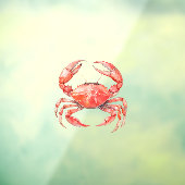 Beach Red Crab Raamsticker (Vel 3)