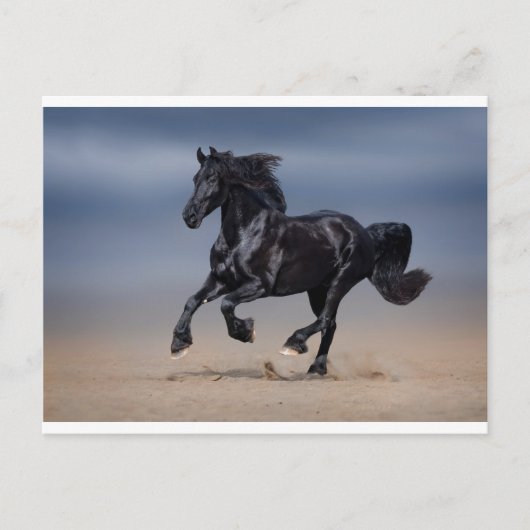 Beach-run Briefkaart (Voorkant)