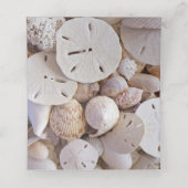 Beach Sand Dollar and Blauwgroen Coral Table Numbe (Binnenkant ongevouwen)