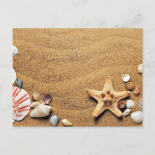 Beach Sand Shells Briefkaart
