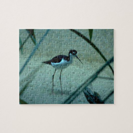 Beach Sandpiper Bird Legpuzzel (Horizontaal)