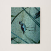 Beach Sandpiper Bird Legpuzzel (Verticaal)