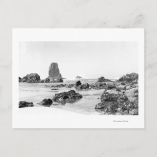 Beach scene bij Cannon Beach, Oregon Photografie Briefkaart