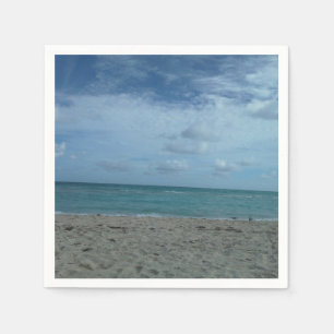 BEACH SCENE SERVETTEN