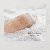 Beach Seashell Enregistrer la date Carte postale M (Devant)