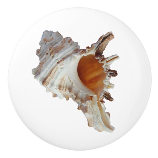 Beach Seashell Ocean Shell Keramische Knop (Voorkant)