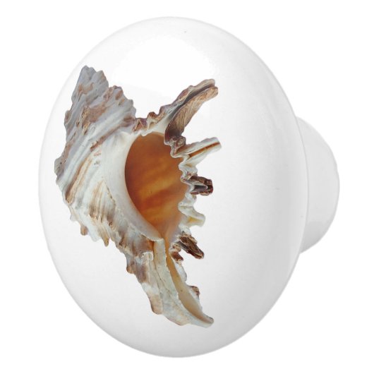 Beach Seashell Ocean Shell Keramische Knop (Rechts)