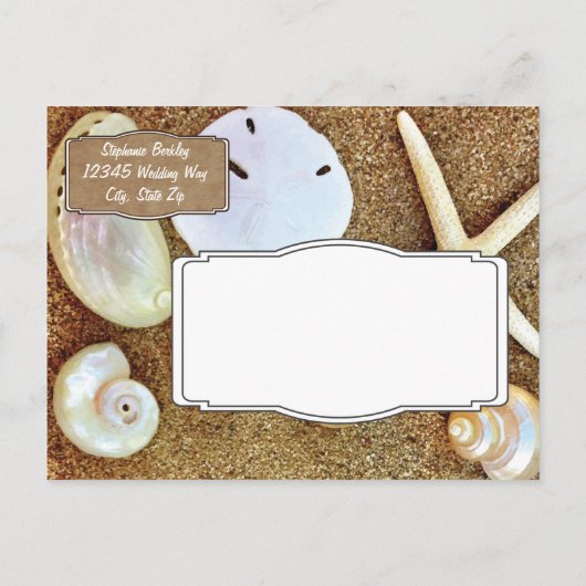 Beach Seashells Sand Save the Date Cartes postales (Dos)