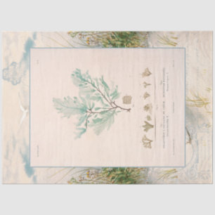 Beach Seashore Botanical Zee Weed Blue Decoupage Tissuepapier