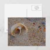 Beach Shell Briefkaart (Voorkant / Achterkant)
