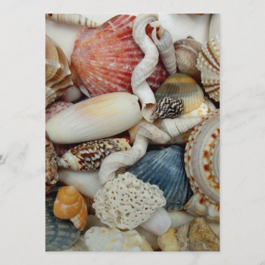 Beach Shells Ecru Wedding Menu Sjabloon (Achterkant)