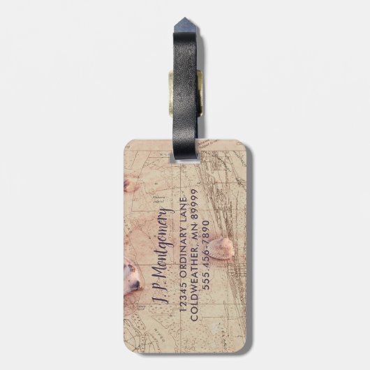 Beach Shells  Florida Map Collage Bagagelabel (Achterkant verticaal)