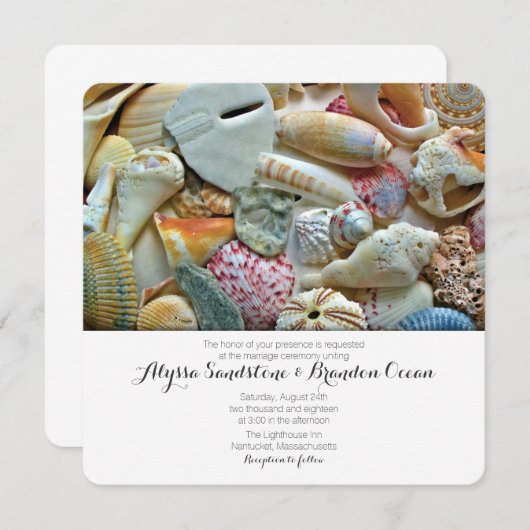 Beach Shells Tropical Designer Weddenschap Kaart (Voorkant / Achterkant)