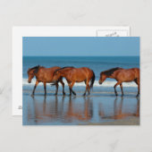 Beach Sisters Briefkaart (Voorkant / Achterkant)