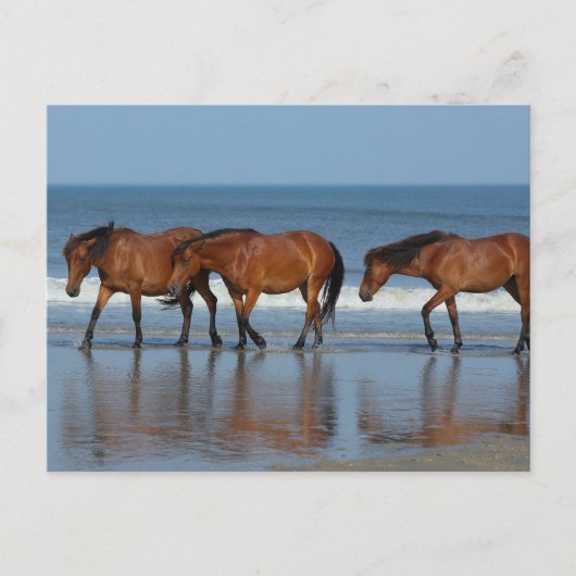 Beach Sisters Briefkaart (Voorkant)