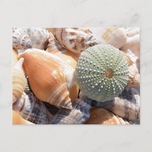 Beach Souvenirs Briefkaart (Voorkant)