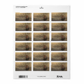 Beach Sunset Seashell String Lumières Étiquette (Feuille entière)