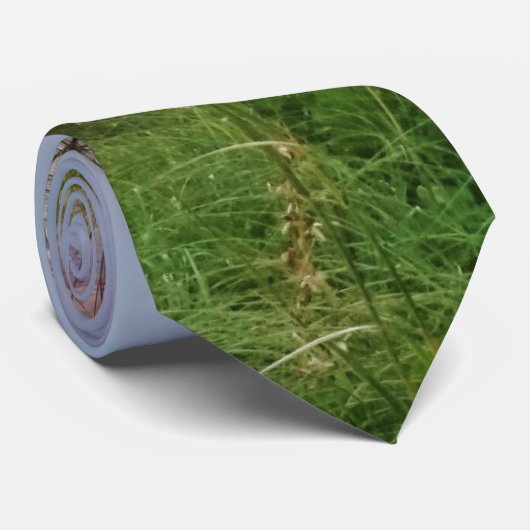 Beach Sunset Stropdas (Opgerold)